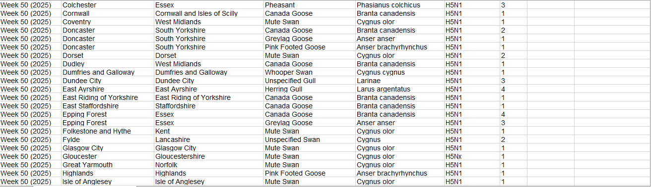 Click image for larger version

Name:	image.png
Views:	50
Size:	61.9 KB
ID:	1026668