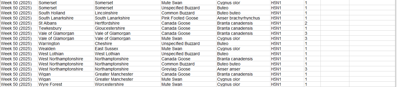 Click image for larger version

Name:	image.png
Views:	51
Size:	48.0 KB
ID:	1026670