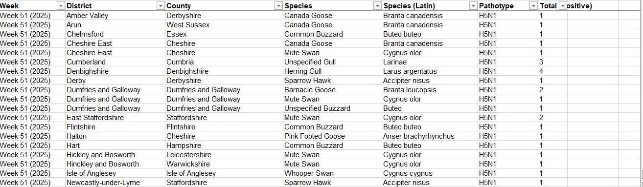 Click image for larger version

Name:	image.png
Views:	51
Size:	58.7 KB
ID:	1026672