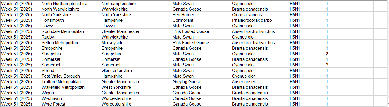 Click image for larger version

Name:	image.png
Views:	50
Size:	57.3 KB
ID:	1026673