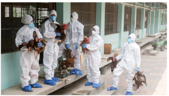 Click image for larger version

Name:	Screenshot 2026-01-01 at 10.35.02 AM.png
Views:	115
Size:	1.06 MB
ID:	1026832