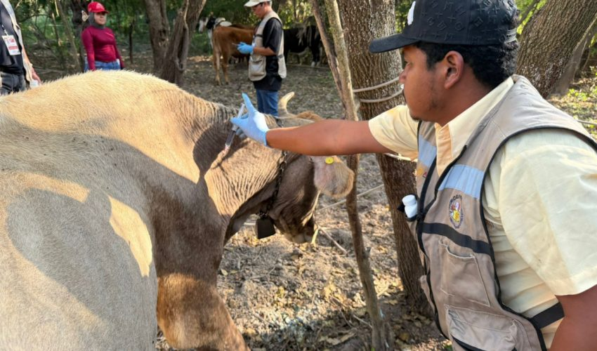 Click image for larger version  Name:	image.png Views:	2 Size:	780.2 KB ID:	1026904