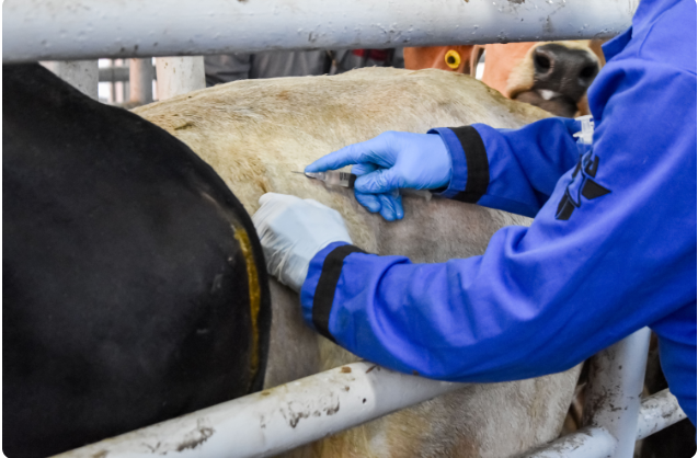 Click image for larger version  Name:	image.png Views:	2 Size:	383.6 KB ID:	1026906