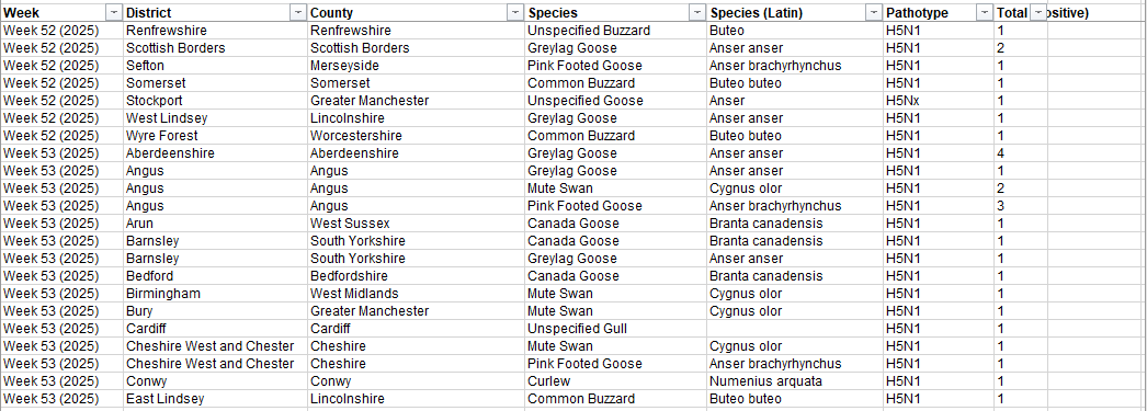 Click image for larger version

Name:	image.png
Views:	28
Size:	54.3 KB
ID:	1027479