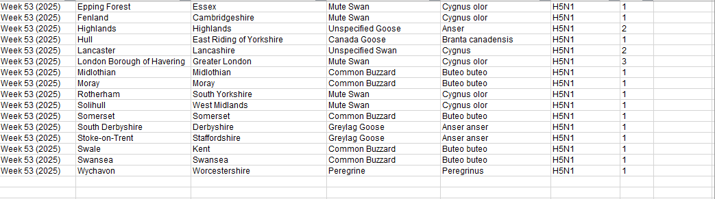 Click image for larger version

Name:	image.png
Views:	28
Size:	37.9 KB
ID:	1027480