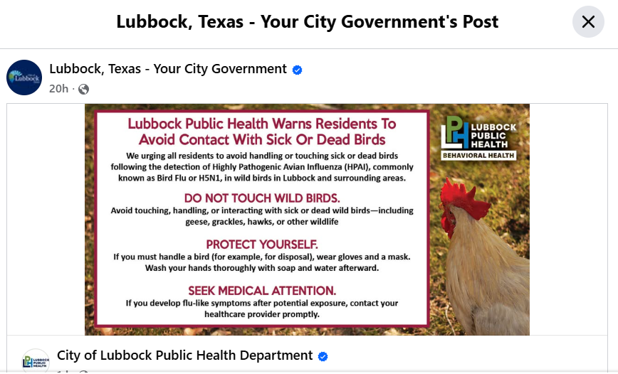 Click image for larger version  Name:	image.png Views:	1 Size:	340.2 KB ID:	1027766