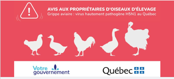 Click image for larger version  Name:	image.png Views:	1 Size:	134.5 KB ID:	1028163