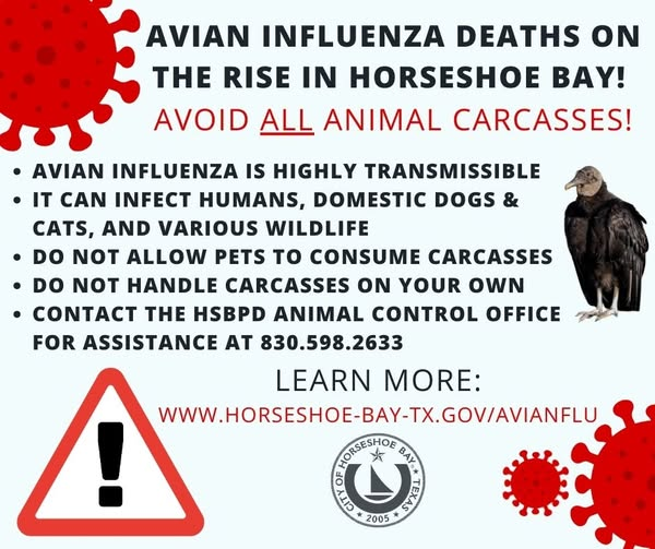 Click image for larger version  Name:	image.png Views:	1 Size:	372.8 KB ID:	1029790