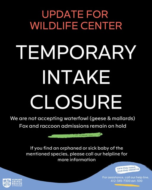 Click image for larger version  Name:	image.png Views:	1 Size:	189.8 KB ID:	1029975