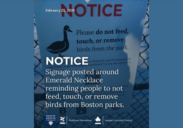 Click image for larger version  Name:	image.png Views:	1 Size:	331.6 KB ID:	1030376