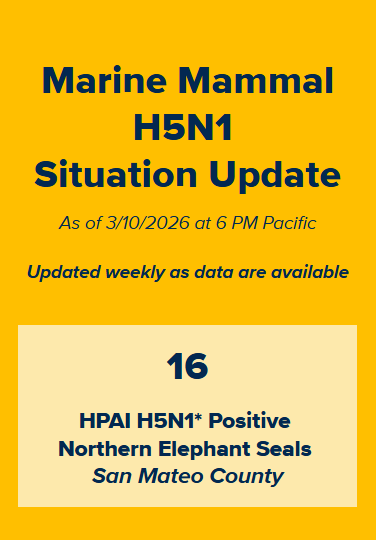 Click image for larger version

Name:	image.png
Views:	138
Size:	31.8 KB
ID:	1031394