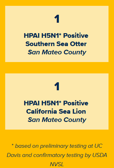 Click image for larger version

Name:	image.png
Views:	130
Size:	33.9 KB
ID:	1031395