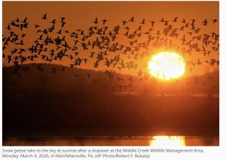 Click image for larger version  Name:	Screenshot 2026-03-13 at 4.21.41 PM.png Views:	1 Size:	1,021.9 KB ID:	1031470