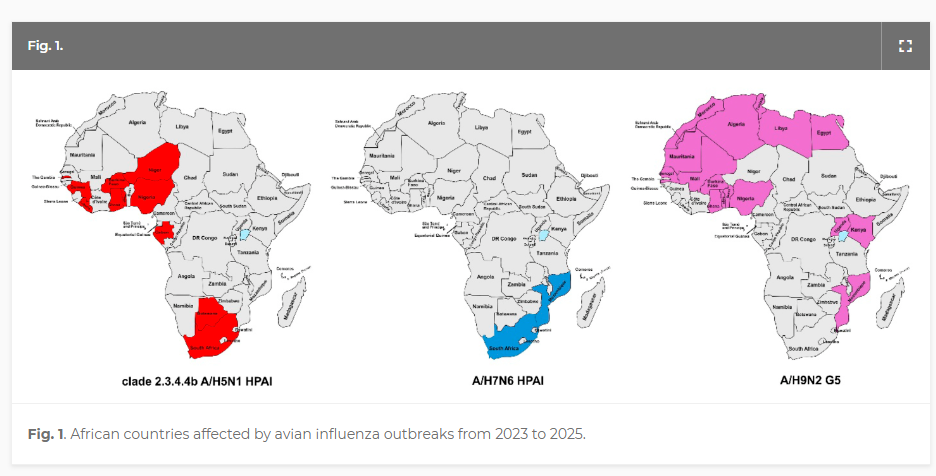 Click image for larger version

Name:	image.png
Views:	37
Size:	212.4 KB
ID:	1032100