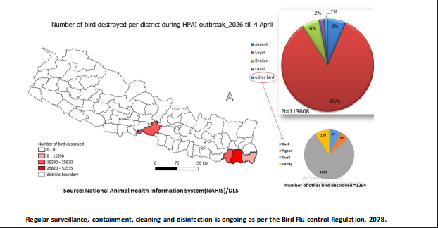 Click image for larger version  Name:	image.png Views:	1 Size:	103.0 KB ID:	1032648