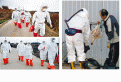 Click image for larger version

Name:	skorea.gif
Views:	270
Size:	250.4 KB
ID:	648045