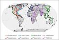 Click image for larger version

Name:	world flyways.jpg
Views:	740
Size:	38.8 KB
ID:	649103