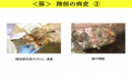 Click image for larger version

Name:	japan_photo7.png
Views:	221
Size:	174.7 KB
ID:	652782