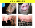 Click image for larger version

Name:	japan_photo8.png
Views:	238
Size:	402.7 KB
ID:	652783