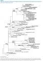 Click image for larger version

Name:	ELLIS_Fig3new.jpg
Views:	1692
Size:	251.1 KB
ID:	652787