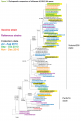 Click image for larger version

Name:	h3tree.png
Views:	699
Size:	392.3 KB
ID:	652830