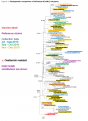 Click image for larger version

Name:	tree01.png
Views:	691
Size:	409.8 KB
ID:	652832