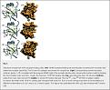 corel003.jpg