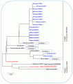 Click image for larger version

Name:	virusflu150212.gif
Views:	860
Size:	25.4 KB
ID:	658587