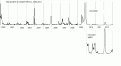Click image for larger version

Name:	mexv2.gif
Views:	134
Size:	8.3 KB
ID:	660254