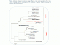 Click image for larger version

Name:	flub.gif
Views:	417
Size:	28.1 KB
ID:	660431