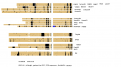 Click image for larger version

Name:	bitu45af.png
Views:	199
Size:	13.4 KB
ID:	660478