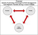 H7N9 Transmission revised 20130501.jpg