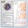 Click image for larger version

Name:	08f1.jpg
Views:	371
Size:	161.5 KB
ID:	664177