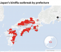 chart japan 16 12 2020.png