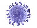 h1n1 virus swine flu