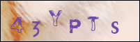 Registration Image